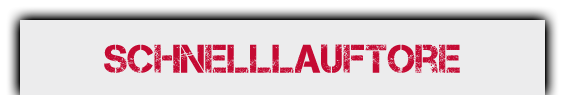 Schnelllauftore